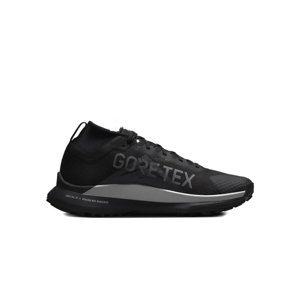 NIKE-Pegasus Trail 4 GTX black/reflect silver/wolf grey Čierna 41